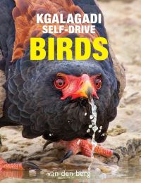 Book Cover for Kgalagadi Self-Drive Birds by Philip van den Berg, Ingrid van den Berg