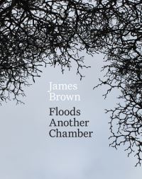 Book Cover for Floods Another Chamber by James Brown