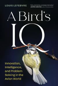 Book Cover for A Bird's IQ by Louis Lefebvre