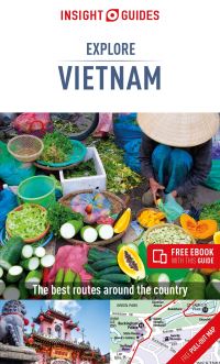 Book Cover for Vietnam by David Lloyd, Adam Bray