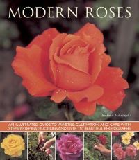 Book Cover for Modern Roses by Andrew Mikolajski