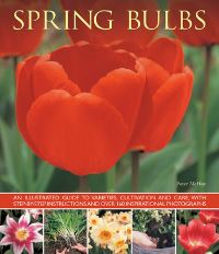 Book Cover for Spring Bulbs by Peter McHoy
