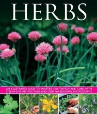 Book Cover for Herbs by Susie White