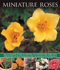 Book Cover for Miniature Roses by Linden Hawthorne