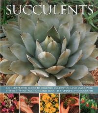 Book Cover for Succulents by Terry Hewitt