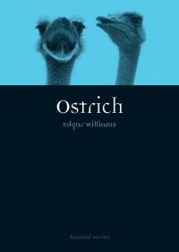 Book Cover for Ostrich by Edgar Mark Williams