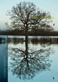 Book Cover for Flood by John Withington