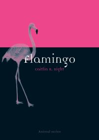 Book Cover for Flamingo by Caitlin R Kight