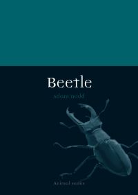 Book Cover for Beetle by Adam Dodd