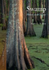 Book Cover for Swamp by Anthony Wilson