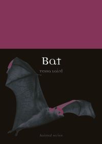 Book Cover for Bat by Tessa Laird