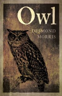 Book Cover for Owl by Desmond Morris