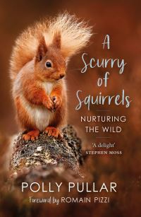 Book Cover for A Scurry of Squirrels by Polly Pullar