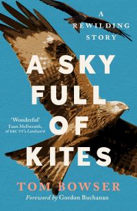 Book Cover for A Sky Full of Kites by Tom Bowser