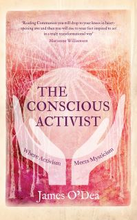 Book Cover for The Conscious Activist by James ODea