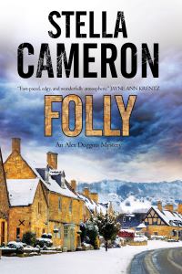 Book Cover for Folly by Stella Cameron