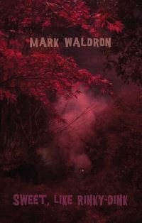 Book Cover for Sweet, Like Rinky-Dink by Mark Waldron