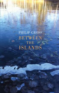 Book Cover for Between the Islands by Philip Gross