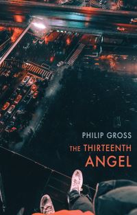 Book Cover for The Thirteenth Angel by Philip Gross