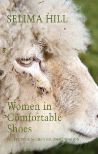 Book Cover for Women in Comfortable Shoes by Selima Hill