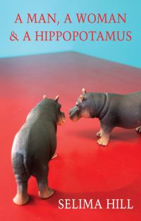 Book Cover for A Man, a Woman & A Hippopotamus by Selima Hill