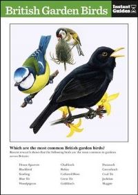 Book Cover for British Garden Birds by 