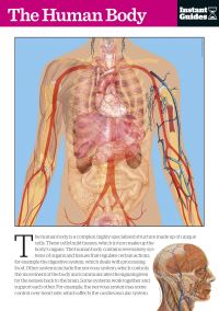 Book Cover for The Human Body by 