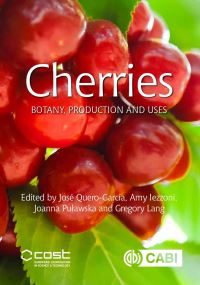 Book Cover for Cherries by J QueroGarcía