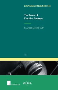 Book Cover for The Power of Punitive Damages by Lotte Meurkens, Emily Nordin, Ius Commune School