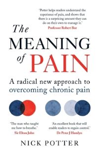 Book Cover for The Meaning of Pain by Nick Potter