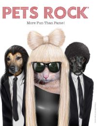 Book Cover for Pets Rock by Joel Jessup