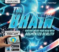 Book Cover for The Brain by Jack Challoner
