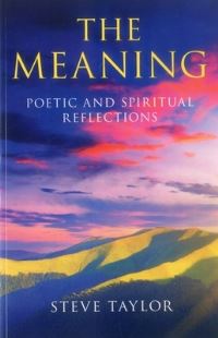 Book Cover for The Meaning by Steve Taylor