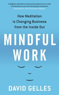 Book Cover for Mindful Work by David Gelles