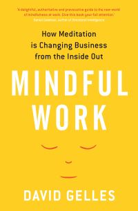Book Cover for Mindful Work by David Gelles