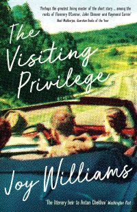Book Cover for The Visiting Privilege by Joy Williams