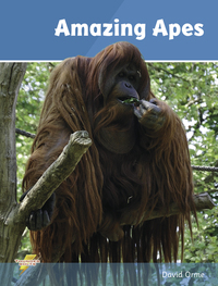 Book Cover for Amazing Apes by David Orme