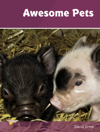 Book Cover for Awesome Pets by David Orme, Paul Boston