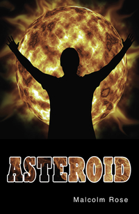 Book Cover for Asteroid by Malcolm Rose