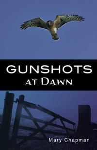 Book Cover for Gunshots at Dawn by Mary Chapman