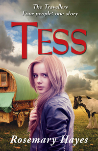 Book Cover for Tess by Rosemary Hayes