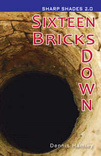 Book Cover for Sixteen Bricks Down by Dennis Hamley