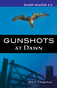 Book Cover for Gunshots at Dawn by Mary Chapman