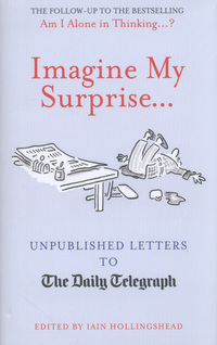 Book Cover for Imagine My Surprise-- by Iain Hollingshead