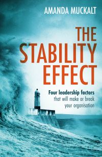 Book Cover for The Stability Effect by Amanda Muckalt
