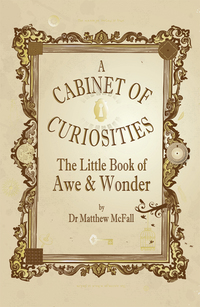 Book Cover for The Little Book of Awe & Wonder by Matthew McFall