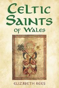 Book Cover for Celtic Saints of Wales by Elizabeth Rees