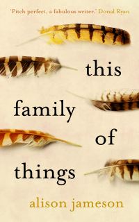 Book Cover for This Family of Things by Alison Jameson