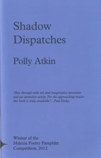 Book Cover for Shadow Dispatches by Polly Atkin