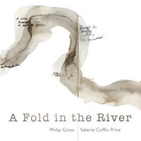 Book Cover for A Fold in the River by Philip Gross